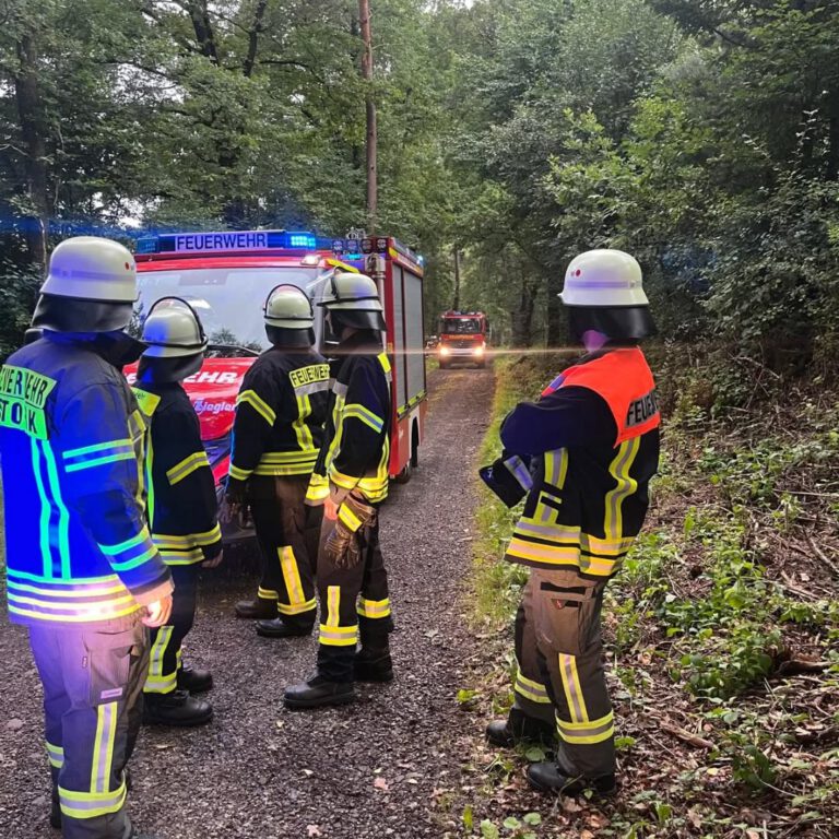 Instagram post from feuerwehrflieden. This post is in position 5.