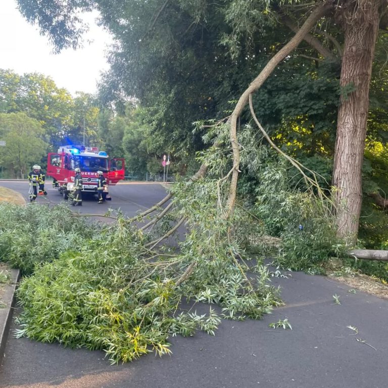 Instagram post from feuerwehrflieden. This post is in position 9.