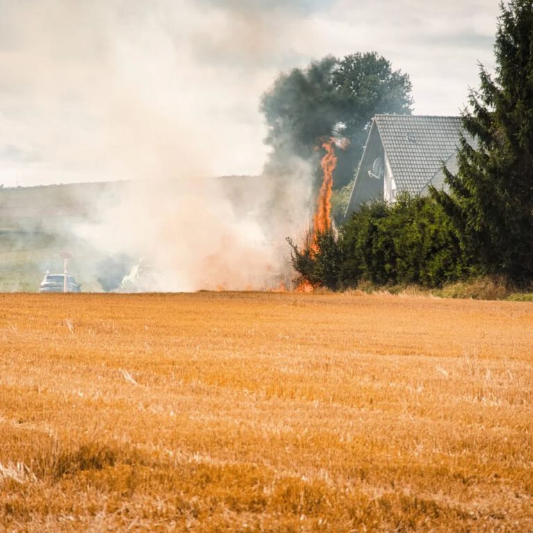 Instagram post from feuerwehrflieden. This post is in position 7.